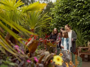 A family exploring the glasshouse at the Botanic Garden.