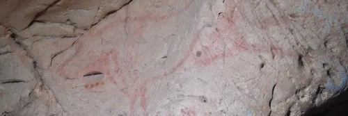 A Palaeolithic painting of an aurochs from the cave of La Pasiega. The artist traced the natural cracks in the cave wall when painting the head, horns, and back leg of the animal