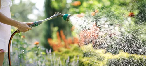 使用软管给花园浇水的人