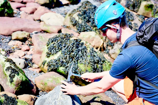 在拉文斯卡海滩，戴着安全帽的学生用锤子敲碎岩石