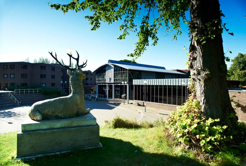 科林伍德学院的外部景观与雄鹿雕像