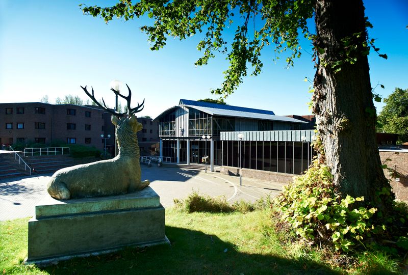 柯林伍德学院外部景观与雄鹿雕像
