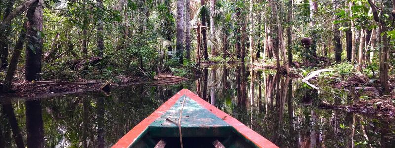 在雨林中乘船旅行 