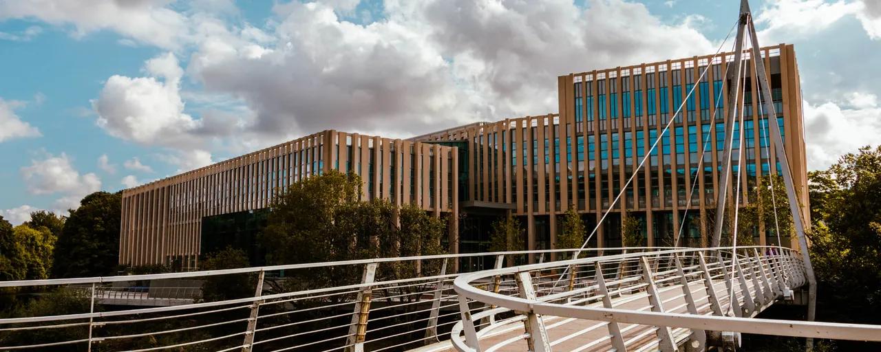 This is the image alt text