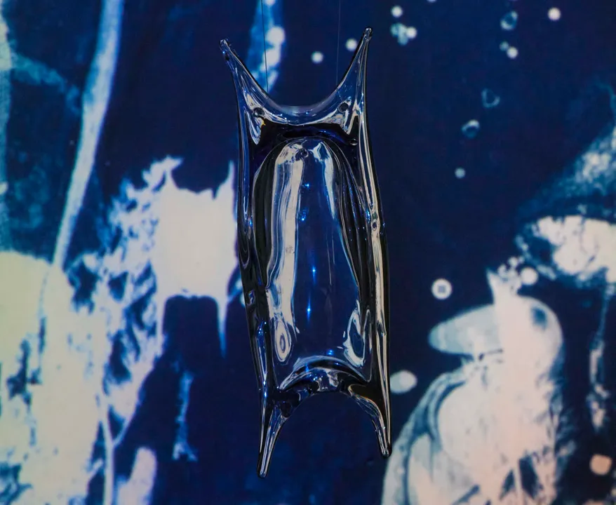 This is the image alt text