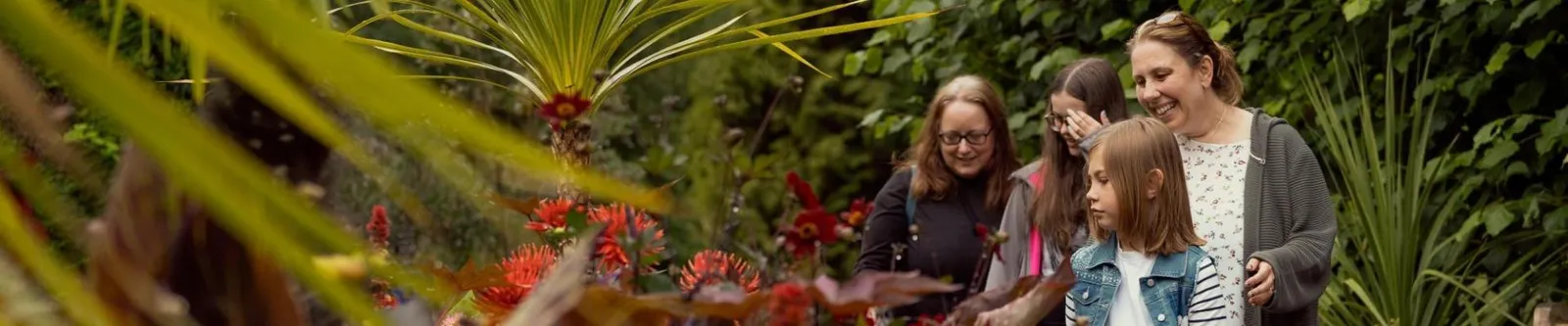 A family exploring the glasshouse at the Botanic Garden.