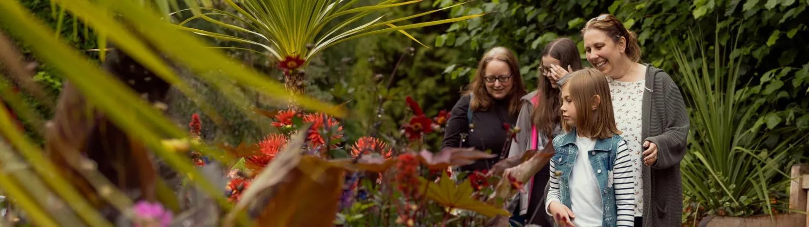 A family exploring the glasshouse at the Botanic Garden.