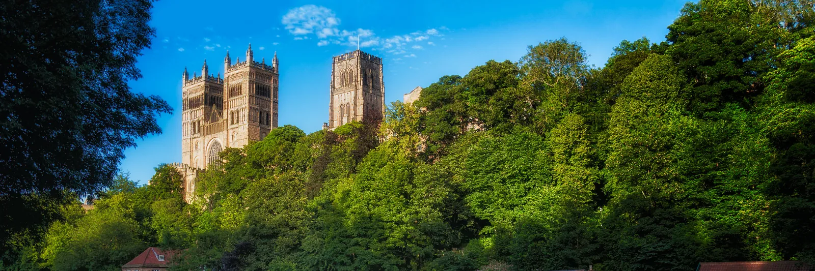 Veganuary 2025 Durham University