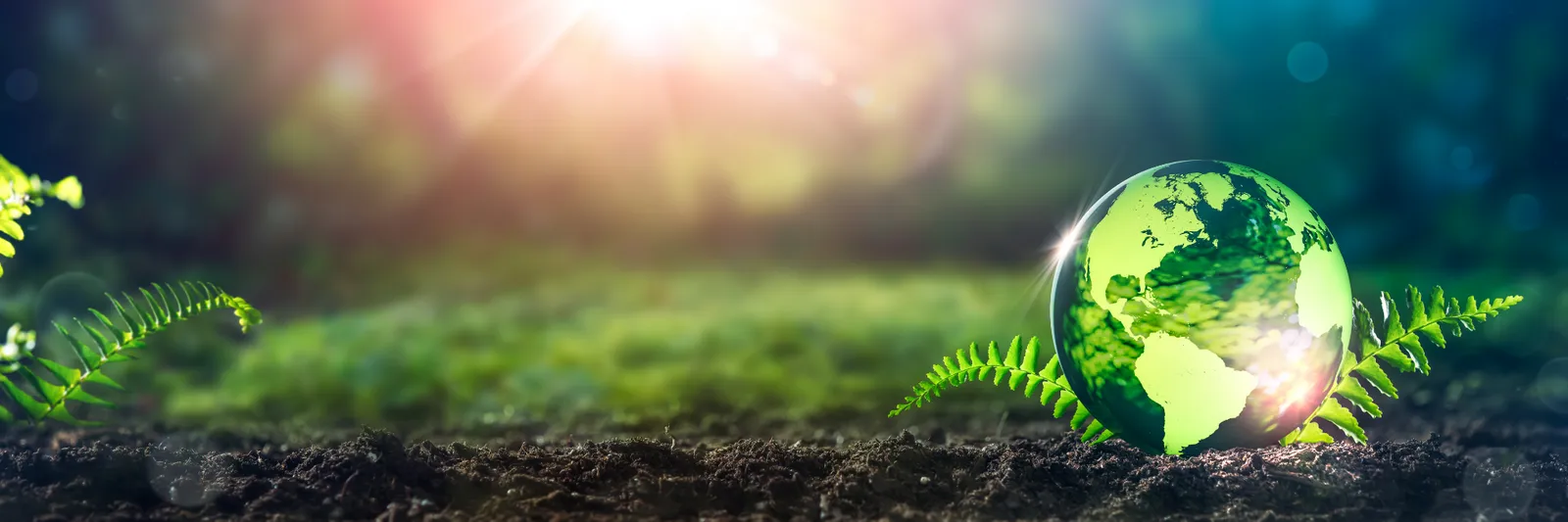 A green globe sat in some soil and surrounded by plants and grass