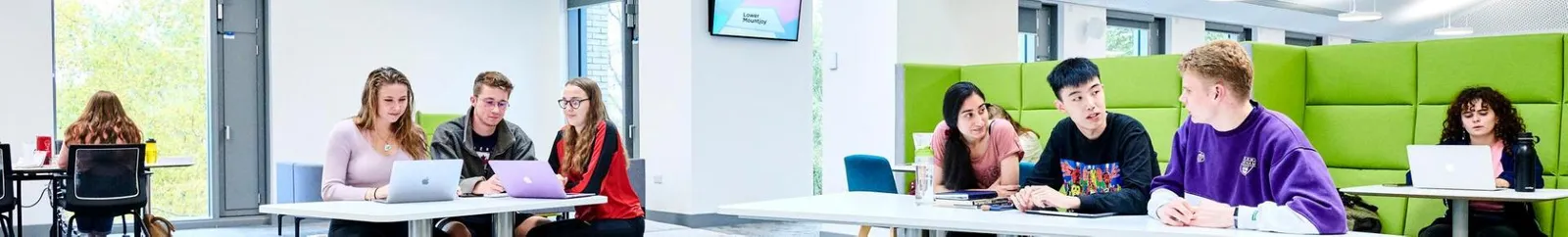 Students studying in groups