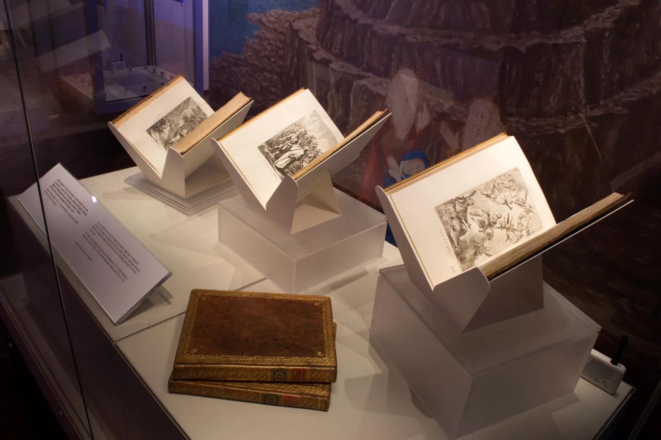 Archives university nicholls collections special