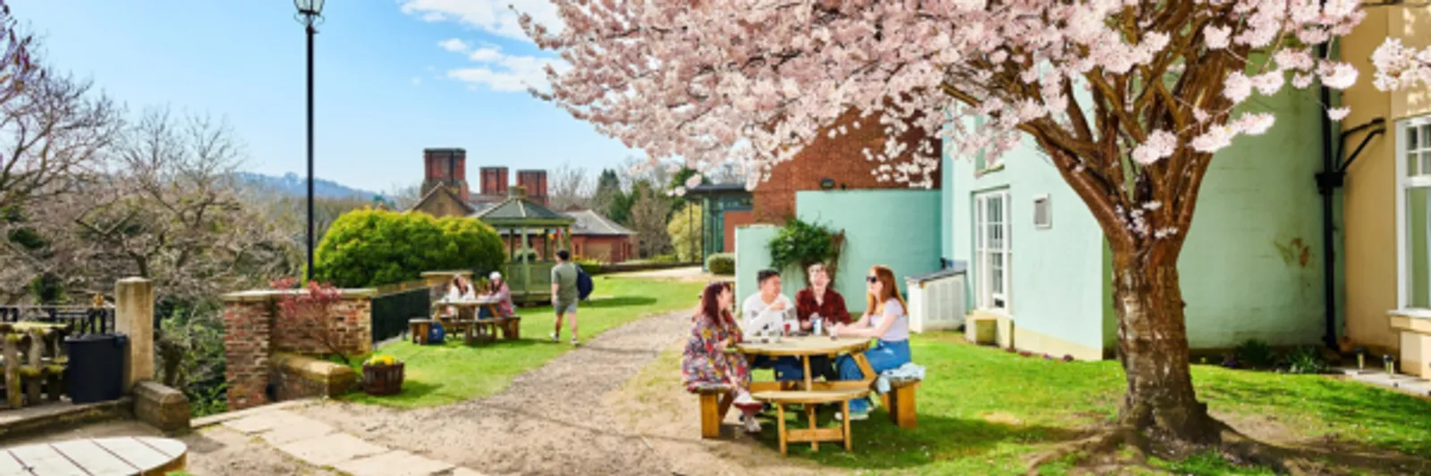 Groups of students sit outside at wooden tables. They are chatting and laughing, and it's a sunny day, with the surrounding trees covered in pink blossom