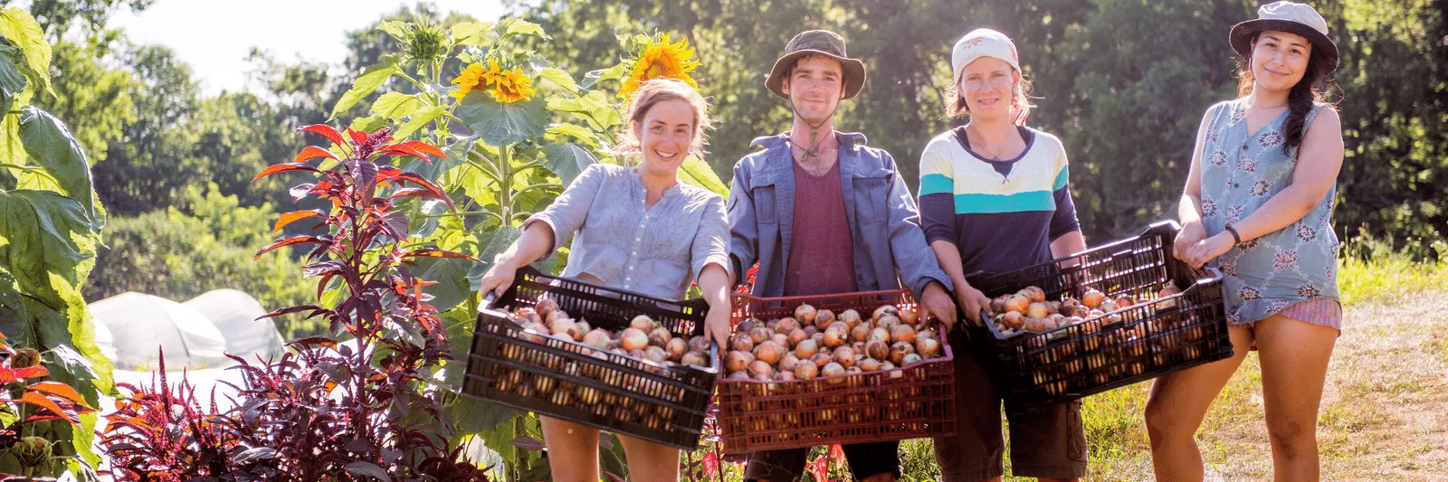 People holding fruit and vegetables in a Community Garden