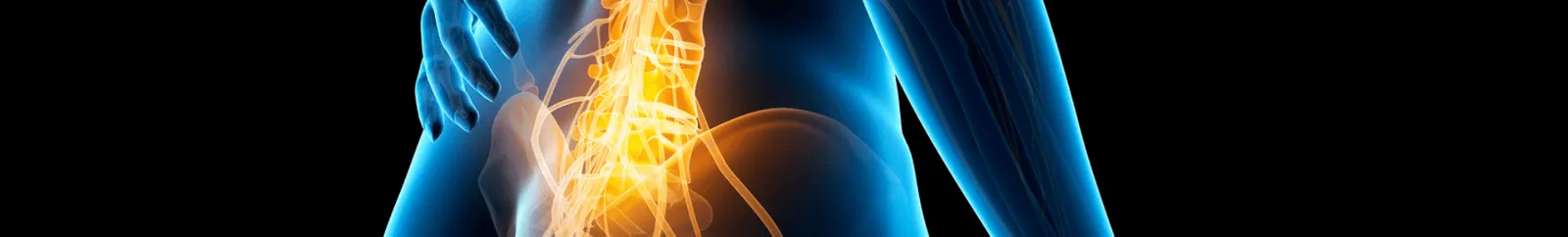 An illustration of human back pain