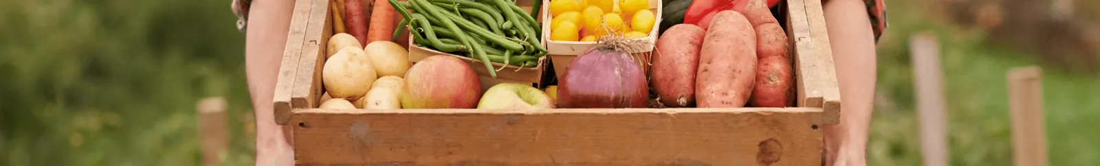 A man holding a box of vegetables standing in a field