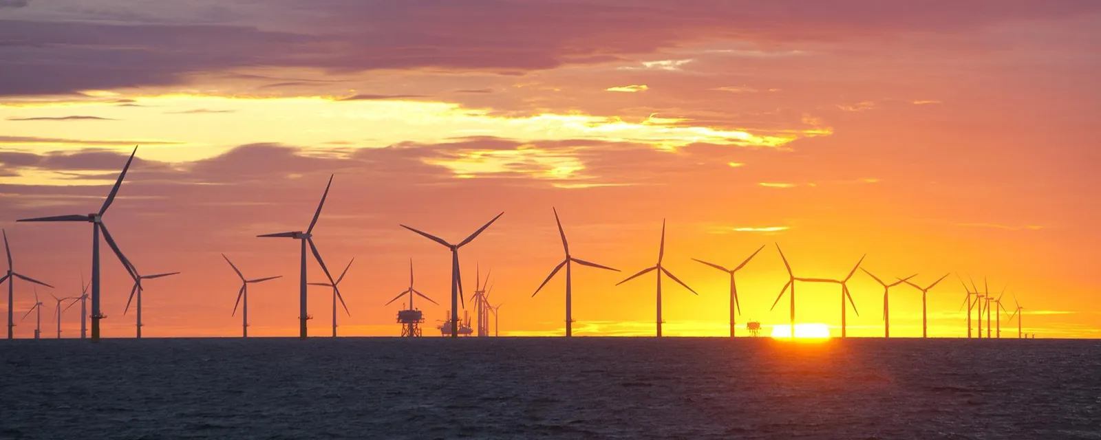 Walney Sunset Hero Crop 2000 x 800