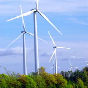Windfarm