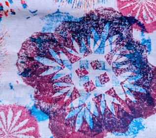 Red and blue fabric print