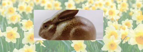 A ornamental rabbit on a background of daffodils