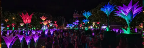 Visitors looking at tall illuminated flowers as part of light festival, Lumiere