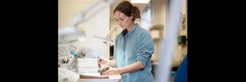 Female researcher working at scientific equipment