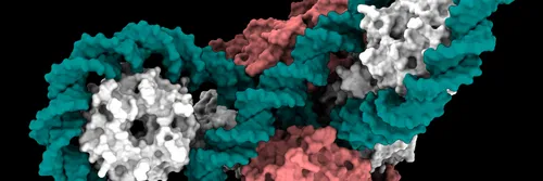 Computer simulation of a molecule on a black background