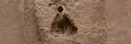 Ancient remains in a wall