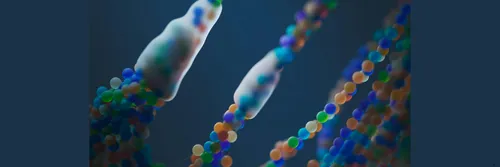 Protein-metal binding