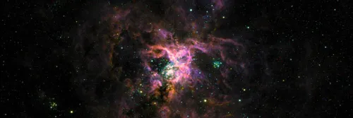 A host of stars with the Tarantula Nebula at its centre