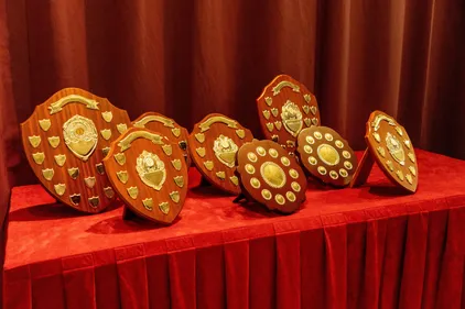 Table of various sports awards