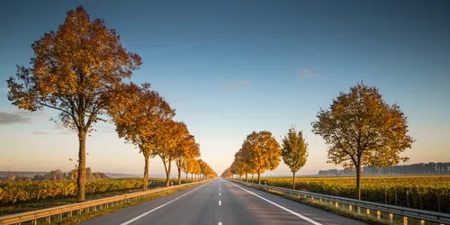 A picture of a straight road and some trees