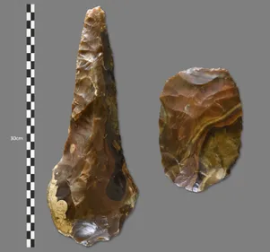 Brown flint ficron and cleaver handaxes next to a black and white 30cm scale bar.