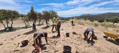 Students excavating warrior stelae