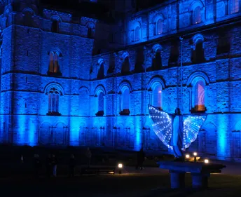 Cathedral in blue light