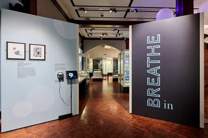 The Breathe In exhibition space entrance lined with posters