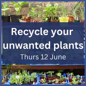 Recycle you unwanted plants 2025