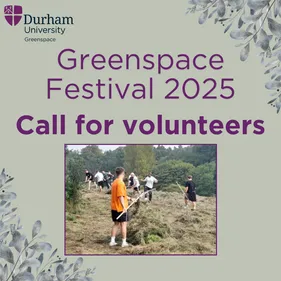 Greenspace Festival 2025 - call for volunteers