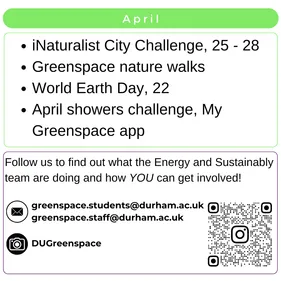 Greenspace calendar April 24 - 25
