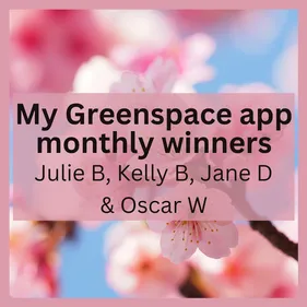 Monthly winners April 2025