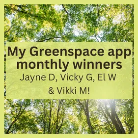 Monthly winners June 2025