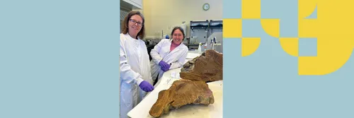 Professor Erin McClymont (left) examines a new snow petrel deposit, recovered by PhD student Thale Damm-Johnsen (right) from Dronning Maud Land, Antarctica, for the ANTSIE project