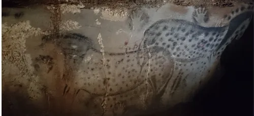 Cave paintings made by Homo sapiens