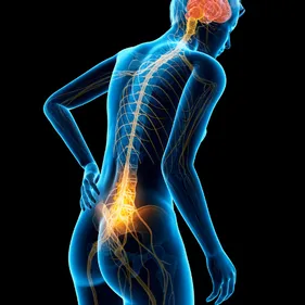 Illustration of human back pain