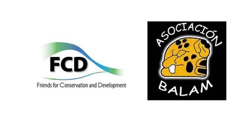 Logos of the two associations FCD and Asc. Balam