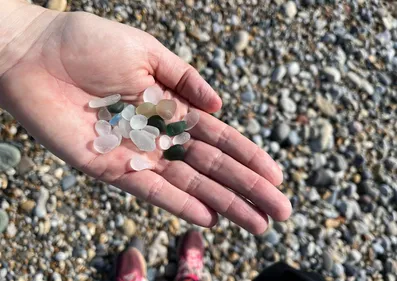 A hand holding pieces of seaglass of different colours