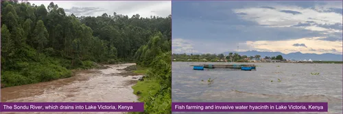 Kenyan water bodies