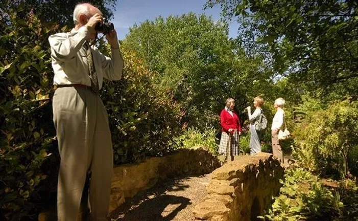 In the foreground, a person is taking a photo of some trees at the Botanic Garden. In the background, a group of people are talking and smiling.