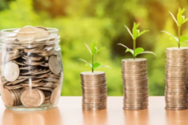 Coin jar with plants growing