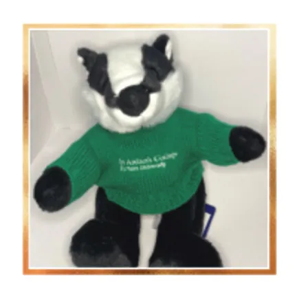 Billie Badger St Aidan's Mascot