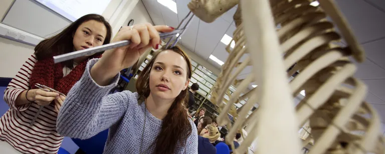 Students examining a skeleton